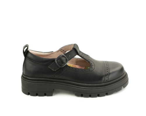 Back To School 2024 Petasil