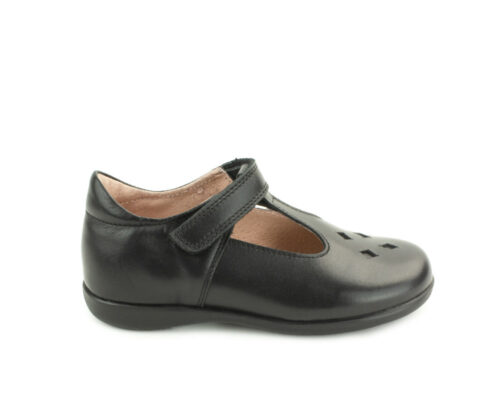 Back To School 2024 Petasil