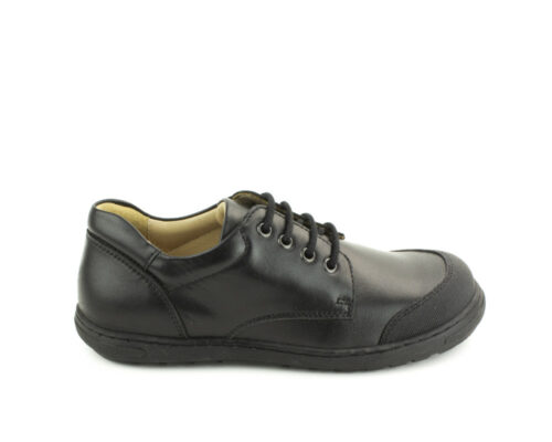 Back To School 2024 Petasil